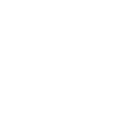 Next Media